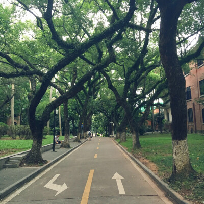 中山大学