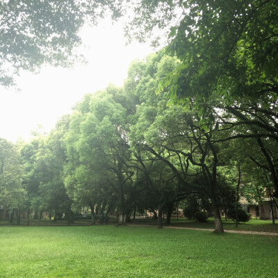 中山大学