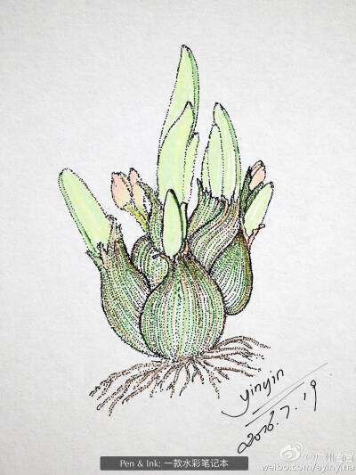 《数码钢笔点画》