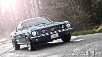 1965年款 福特野马GT - Ford Mustang GT 2Winona Ave