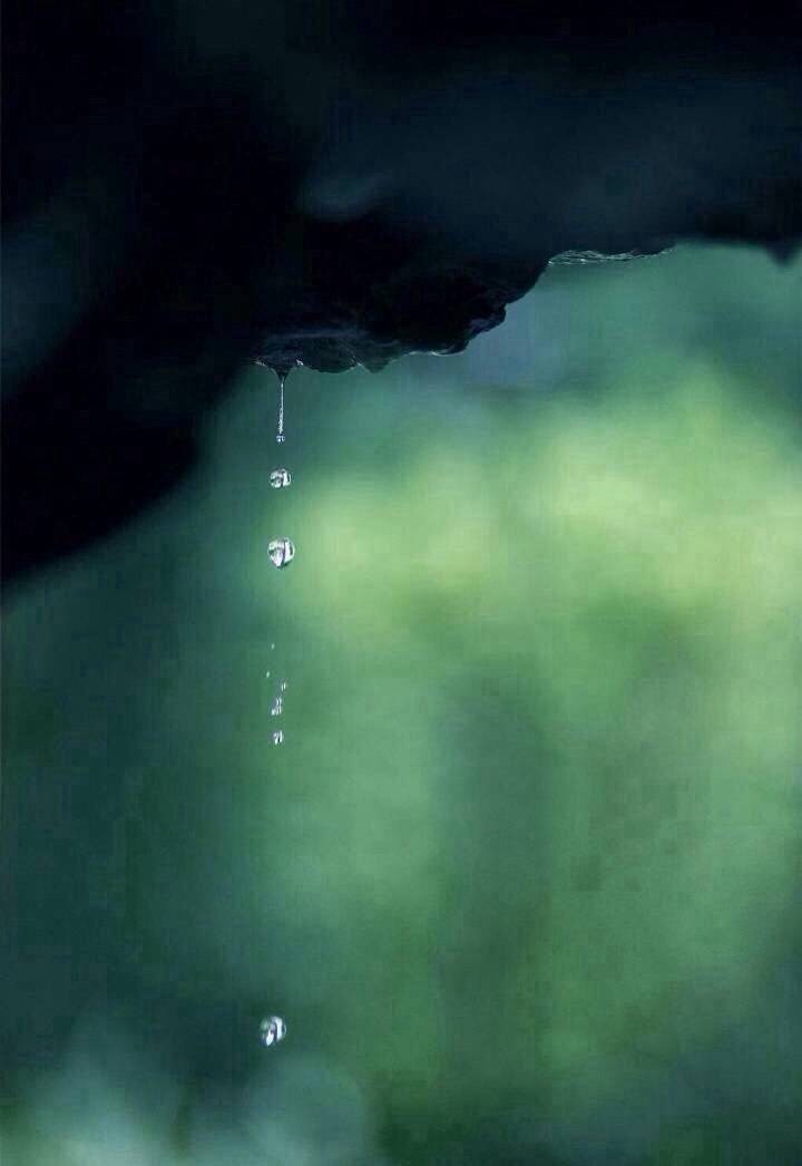 听雨