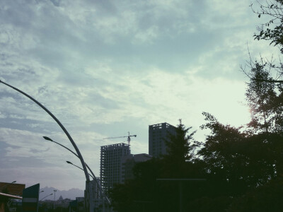 青岛开发区保税区