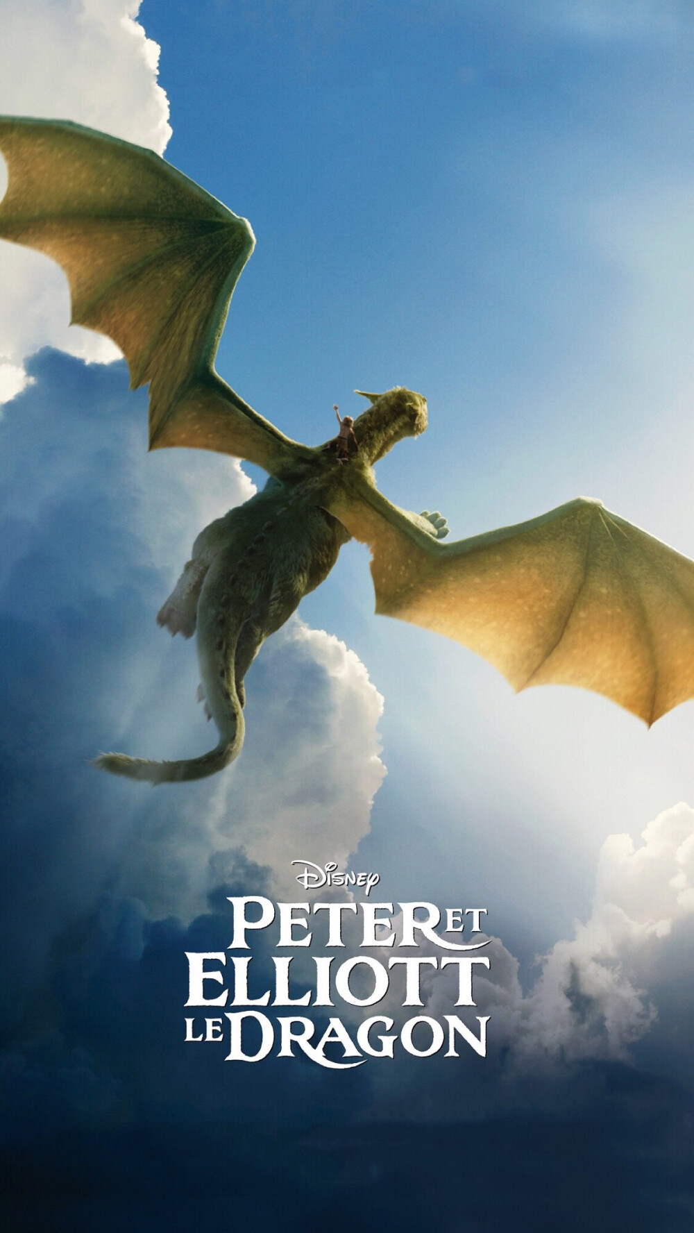 《彼得与龙》电影海报，于2016年8月12日美国上映。讲述一个年轻人为躲避虐待他的养父母而出走，并在逃跑途中遇见了一条龙的故事。