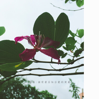 雨后重庆