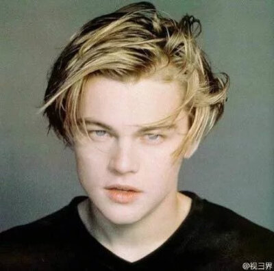 小李子。莱昂纳多·迪卡普里奥（Leonardo DiCaprio）