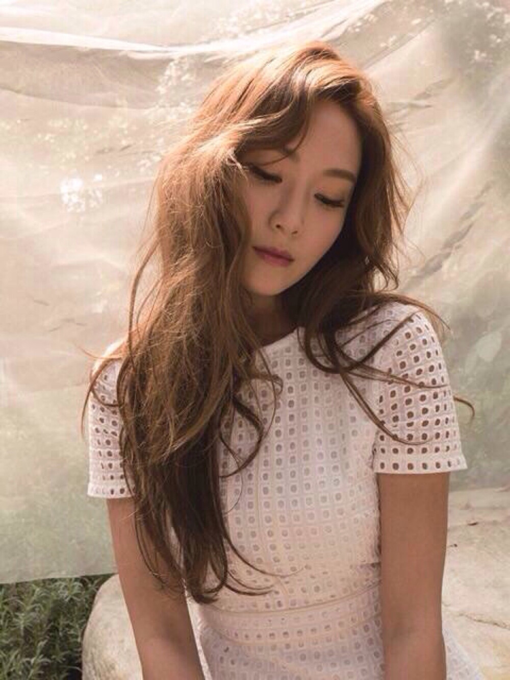 郑秀妍jessica