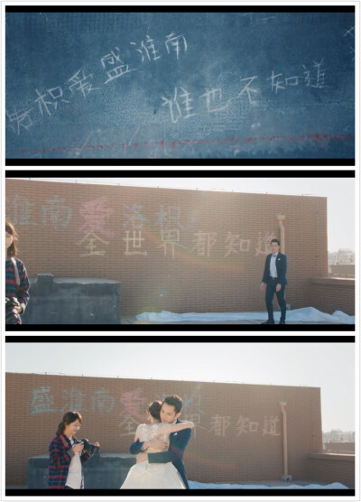 盛惟南爱洛枳，全界都知道