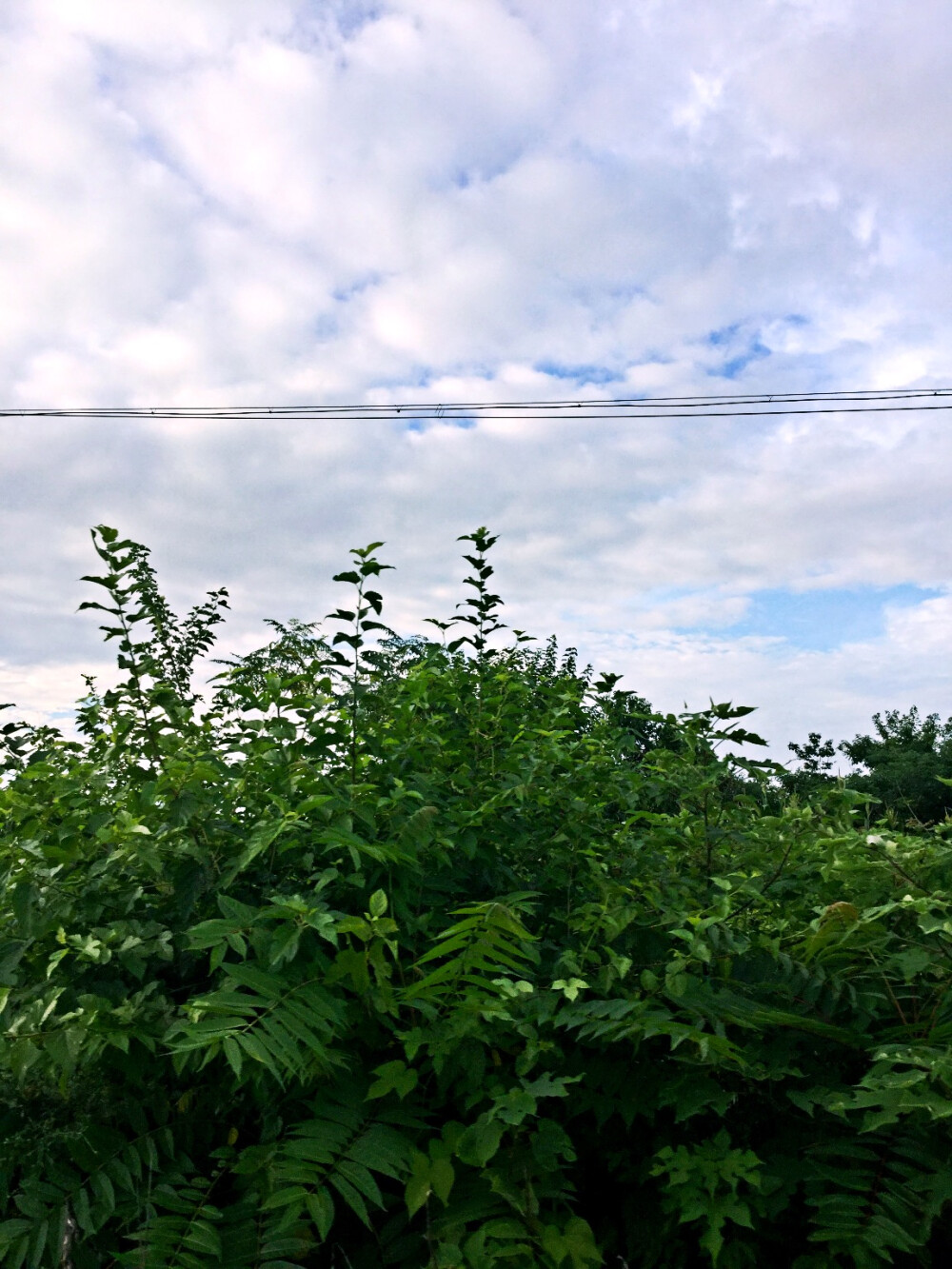 雨后的天空