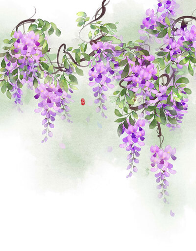 「月上雪」古风插画，水彩花卉，手绘紫藤