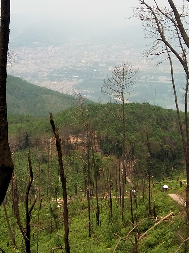 四川西昌泸山：3元的门票，爬了4个多小时（不算休息时间）站在山顶，景色完美，山顶有一个露天KTV，交5元可以随便唱，山爬到3/2时都可以听见，很好的发泄。再交点钱还可以畅吃桃子（没打过药哦！）是一个值得玩的地方!