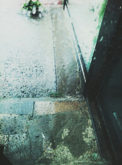 “一川烟草，满城风絮，梅子黄时雨。”