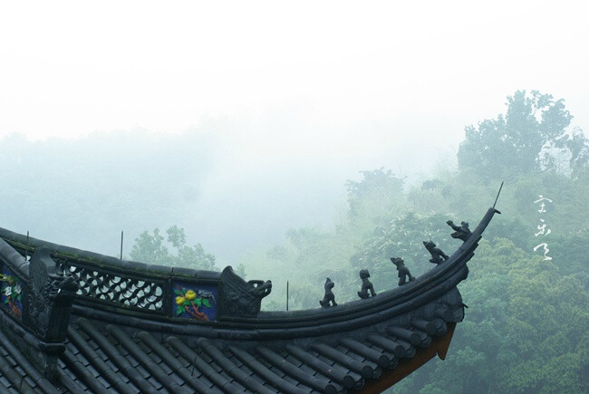 雨中行山之二。这不是梅雨，杭州入梅通常在六月中的。只要是连日有雨，山中必定是这样雾气迷蒙的景象，这在杭州是很常见的。