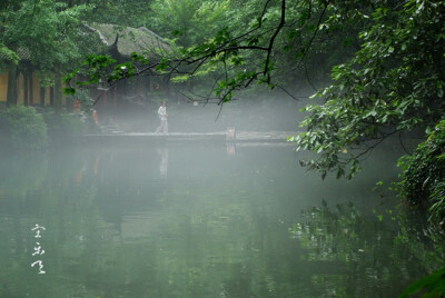 以为昨天会是个晴天，起得很早想去看看山上的晨光，起来却发现下着细雨，直到出门时才渐渐停了。雨虽停了，飞来峰下的灵隐涧水雾未收，一片缥缈。冷泉亭里，一老一少盘桓良久，不时朝着水中的金鱼丢下面包屑来。为此…