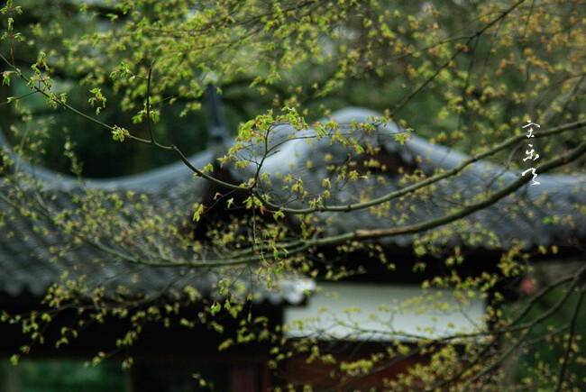 春工不在花枝，而在于新芽新叶。