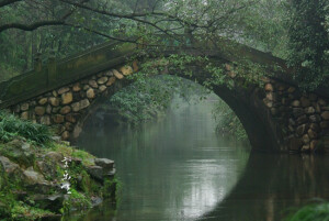 昨天下午路过杨公堤，见郭庄的蜡梅探出墙来，就进去停了片刻，看到了梅花的蓓蕾。（多嘴一句，蜡梅非“梅”，物种上与梅花毫无关系，只是花期接近。）而后从郭庄入曲院再看一下柳条。雨丝飘拂，槭树枝上缀满水滴。景物近处分明，远则蒙蒙一片。