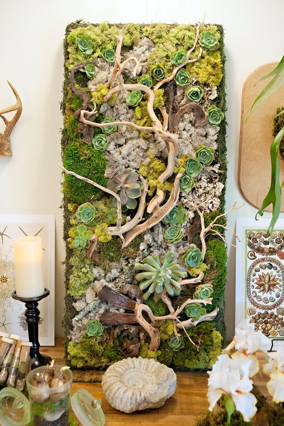 gorgeous succulent & moss wall panel / kim fisher designs: