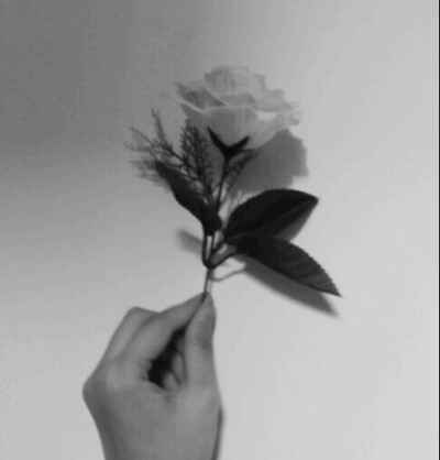 不对比就不会有伤害