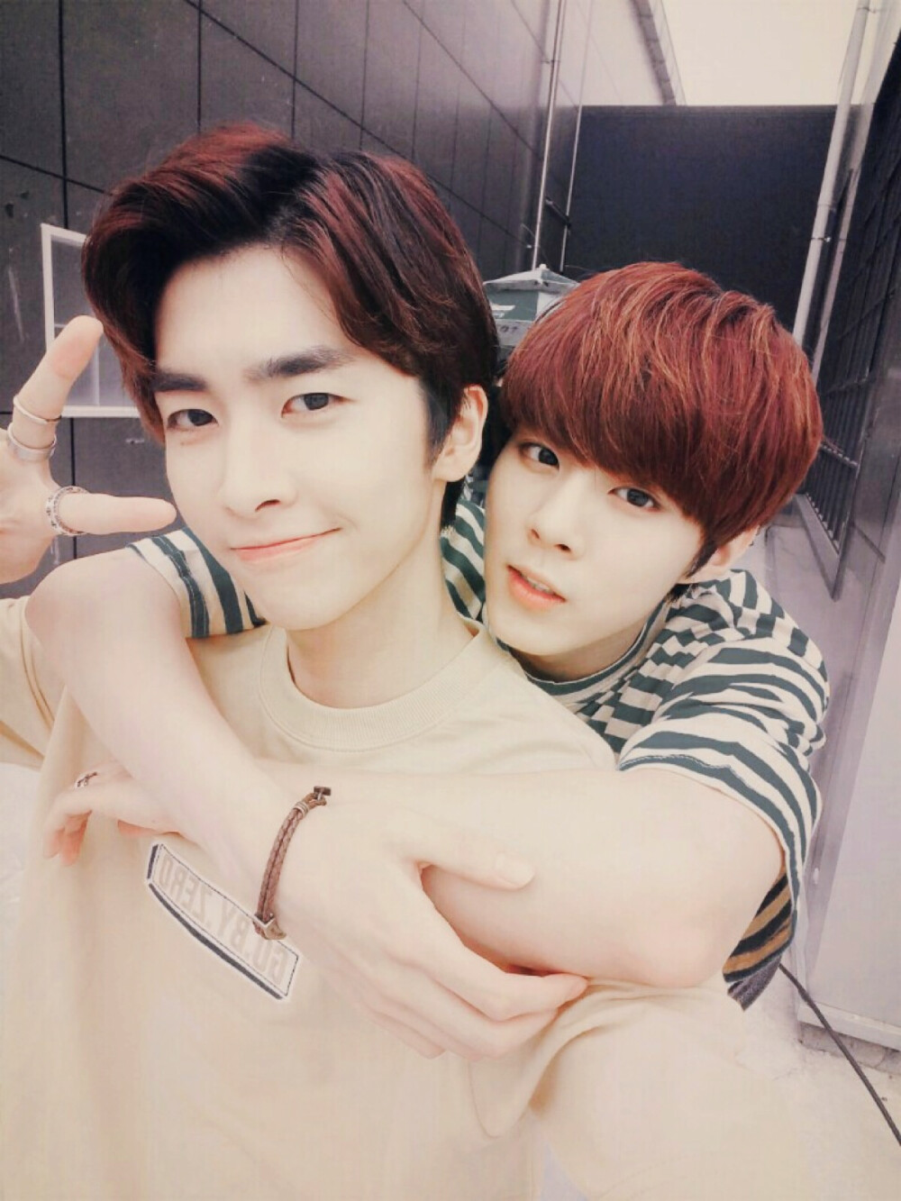 shin 813710 金宇硕 1327 晓悟 xiao 339429 李东烈