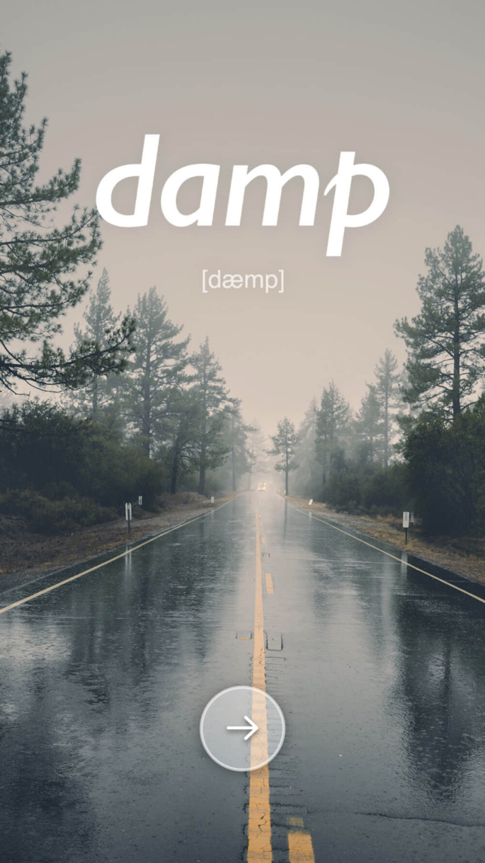 单词图片打卡damp