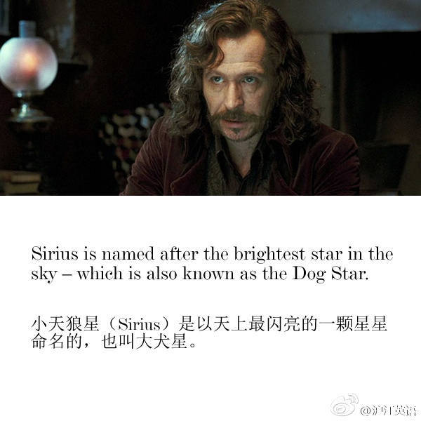 哈利波特冷知识