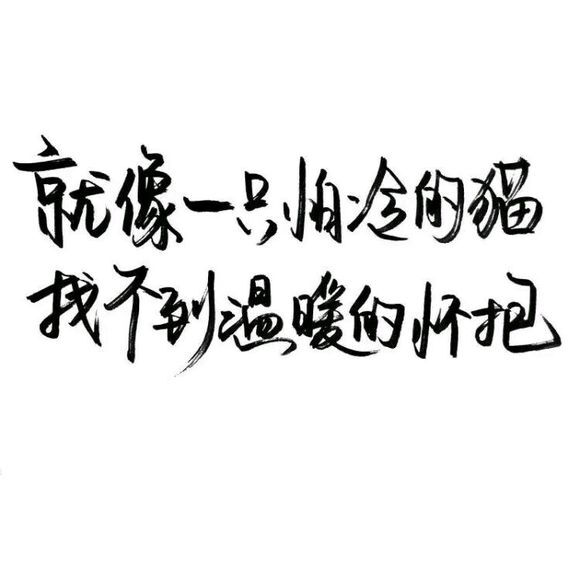 【白底黑字】文字背景，美句，手写 From：-亦久依旧-