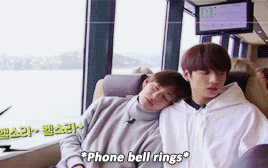 防弹少年团 BTS 田柾国 金泰亨 朴智旻 金南俊 闵玧其 金硕珍 郑号锡 正泰/正太cp 汤博乐 tumblr GIF 动图 jungkook V
