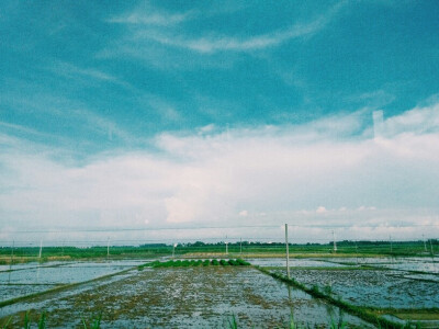 晴空，田野