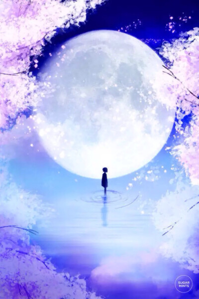 镜花水月