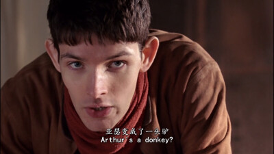 生无可恋脸……哈哈哈哈哈【梅林传奇】