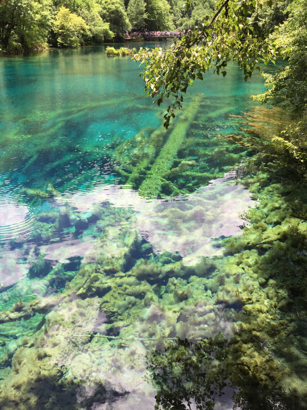 碧水蓝天