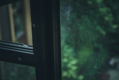 前几天热的没胃口，今天还好下了点雨