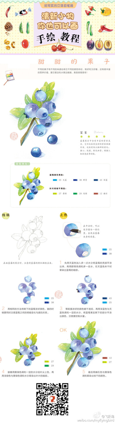 飞乐鸟蓝莓简易水彩