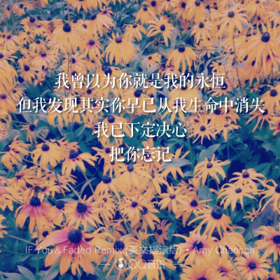 歌词海报――BIGBANG
IF You & Faded