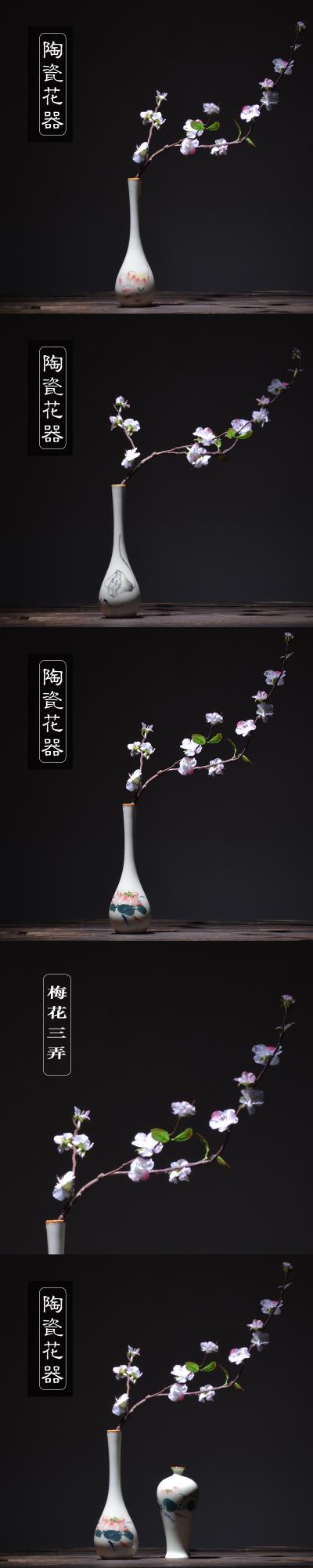 一只梅花开，枝桠展天际