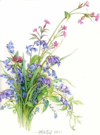 法国艺术家Anne-Marie Patry-Belluteau花与海的水彩画集。她的画风清丽细腻，暗香浮动与一碧万顷跃然纸上。作品轻快、优雅，令人心旷神怡，就好比富有迷人魅力的轻音乐。
