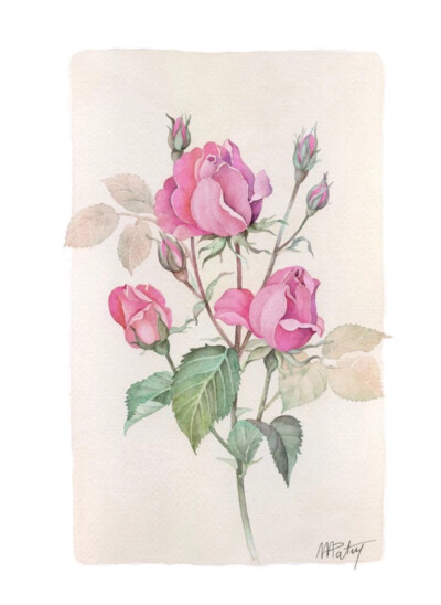 法国艺术家Anne-Marie Patry-Belluteau花与海的水彩画集。她的画风清丽细腻，暗香浮动与一碧万顷跃然纸上。作品轻快、优雅，令人心旷神怡，就好比富有迷人魅力的轻音乐。