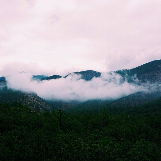 雾失楼台
月迷津渡
桃园望断无寻处