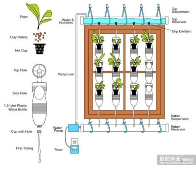 【庭院DIY】变废为宝--塑料瓶绿植篇