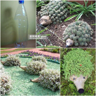 【庭院DIY】变废为宝--塑料瓶绿植篇