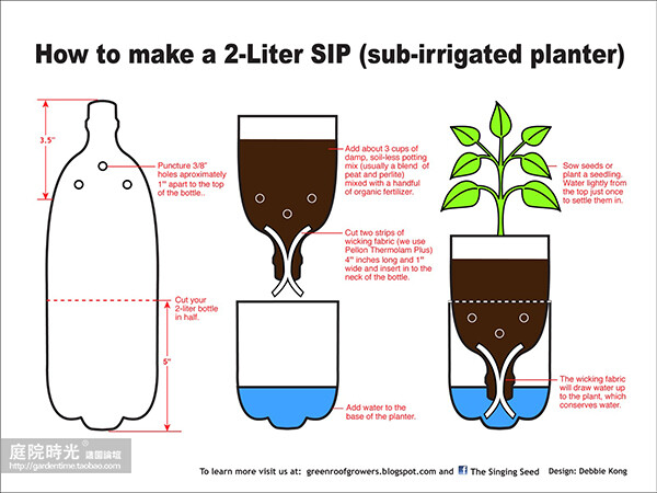 【庭院DIY】变废为宝--塑料瓶绿植篇