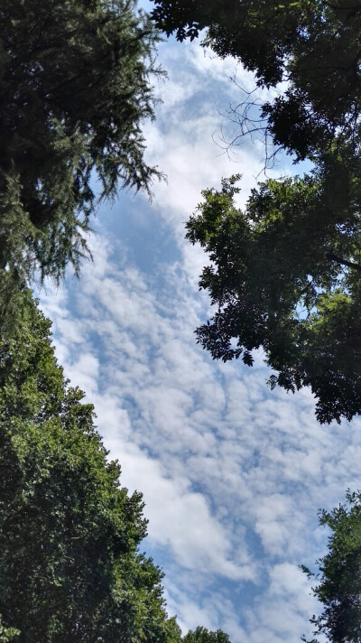 7.25日 雨过天晴