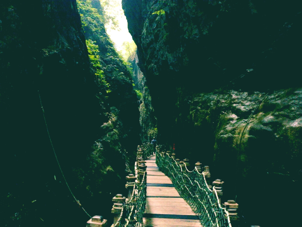 风景 重庆 黑山谷 自拍 QQ1968497917