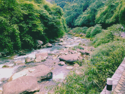 风景 重庆 黑山谷 自拍 QQ1968497917