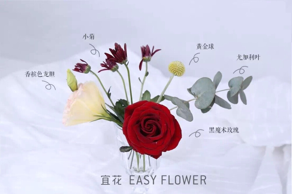 宜花花艺 燕尾蝶 花材