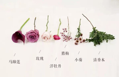 宜花花艺 寓言 花材