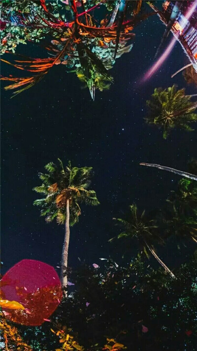 绚烂 壁纸