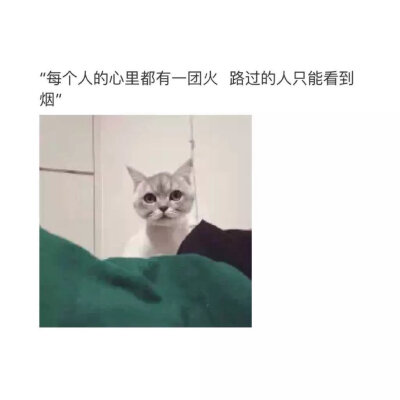 “每个人的心里都有一团火 路过的人只能看到烟”