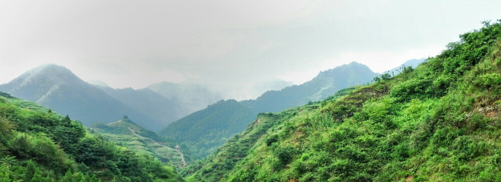 山野