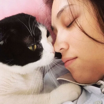 水原希子与猫系列 清纯、妩媚、纯真、狡黠都是你 kiko啊，其实你也是一只猫吧