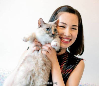 水原希子与猫系列 清纯、妩媚、纯真、狡黠都是你 kiko啊，其实你也是一只猫吧